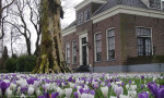 Grotestraat 47